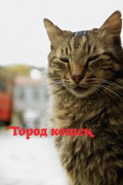 Город кошек смотреть онлайн