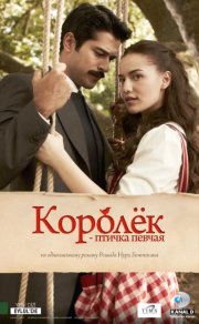 Королёк – птичка певчая смотреть онлайн